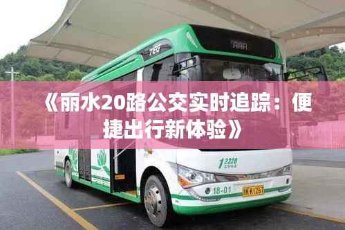 《丽水20路公交实时追踪:便捷出行新体验》
