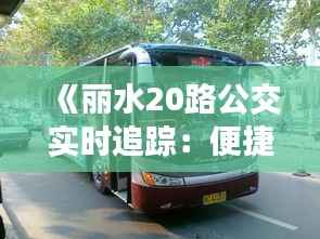 《丽水20路公交实时追踪:便捷出行新体验》