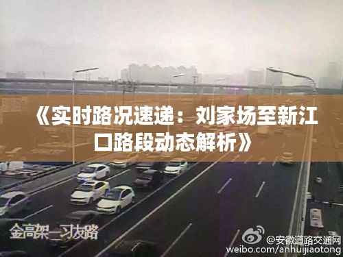 《实时路况速递:刘家场至新江口路段动态解析》