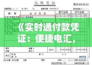 《实时通付款凭证:便捷电汇,轻松管理财务》