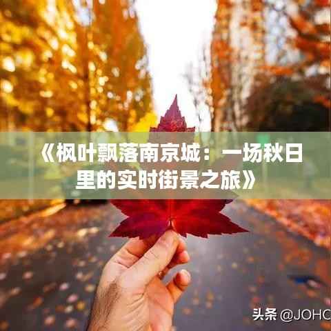 《枫叶飘落南京城：一场秋日里的实时街景之旅》