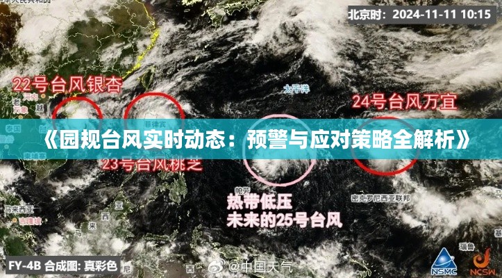 《园规台风实时动态:预警与应对策略全解析》
