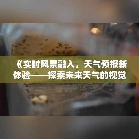 《实时风景融入,天气预报新体验——探索未来天气的视觉盛宴》