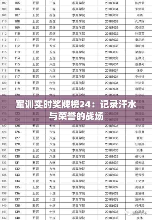 军训实时奖牌榜24:记录汗水与荣誉的战场