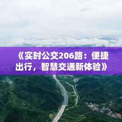 《实时公交206路:便捷出行,智慧交通新体验》