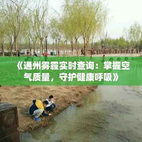 《通州雾霾实时查询：掌握空气质量，守护健康呼吸》