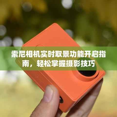 索尼相机实时取景功能开启指南,轻松掌握摄影技巧