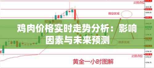 鸡肉价格实时走势分析:影响因素与未来预测