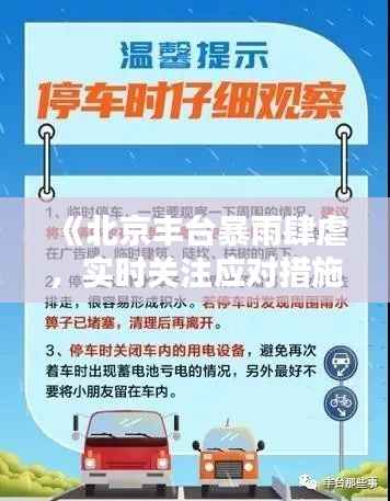 《北京丰台暴雨肆虐,实时关注应对措施》