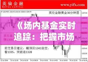 《场内基金实时追踪：把握市场脉搏，投资无忧》