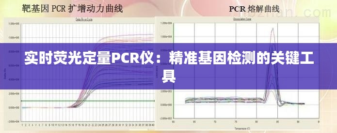 实时荧光定量PCR仪:精准基因检测的关键工具
