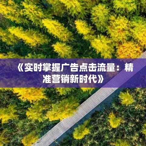 《实时掌握广告点击流量:精准营销新时代》