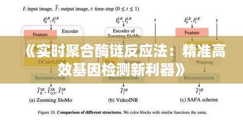 《实时聚合酶链反应法:精准高效基因检测新利器》