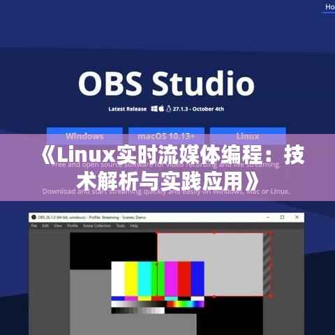 《Linux实时流媒体编程:技术解析与实践应用》