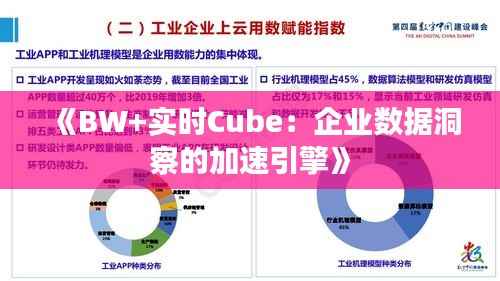 《BW+实时Cube:企业数据洞察的加速引擎》