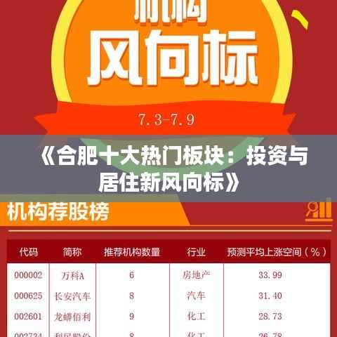 《合肥十大热门板块:投资与居住新风向标》