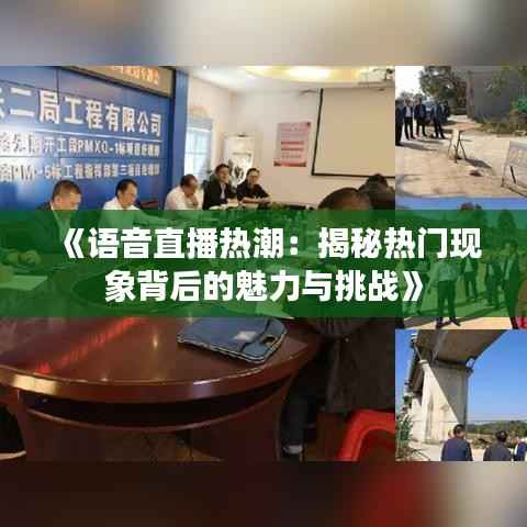 《语音直播热潮：揭秘热门现象背后的魅力与挑战》