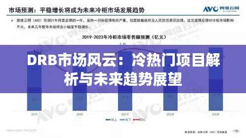 DRB市场风云：冷热门项目解析与未来趋势展望