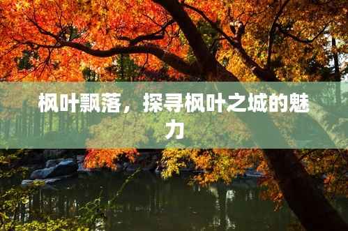 枫叶飘落,探寻枫叶之城的魅力