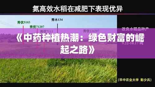 《中药种植热潮：绿色财富的崛起之路》