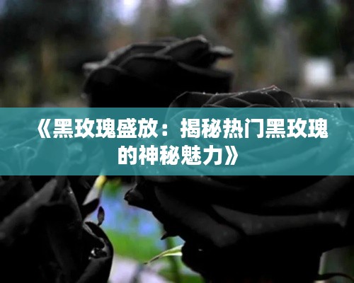 《黑玫瑰盛放：揭秘热门黑玫瑰的神秘魅力》