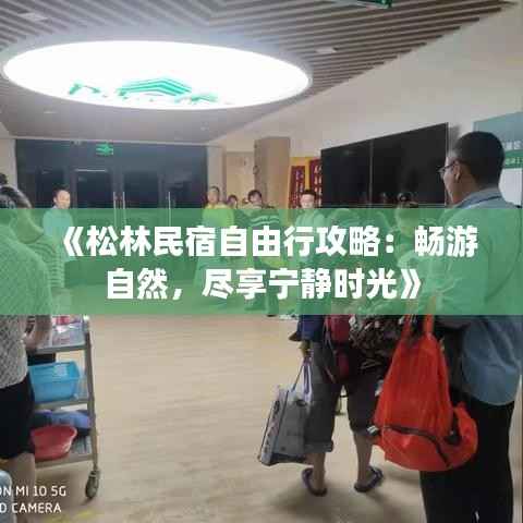 《松林民宿自由行攻略:畅游自然,尽享宁静时光》