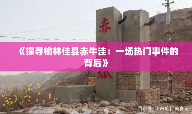 《探寻榆林佳县赤牛洼:一场热门事件的背后》