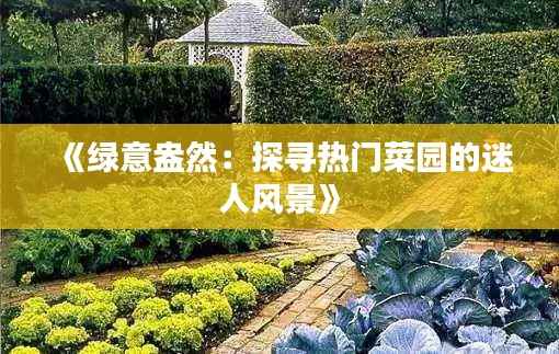 《绿意盎然:探寻热门菜园的迷人风景》