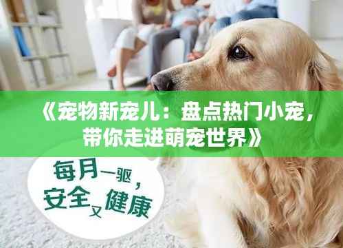 《宠物新宠儿:盘点热门小宠,带你走进萌宠世界》