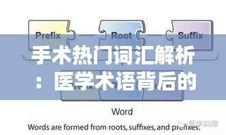 手术热门词汇解析:医学术语背后的奥秘