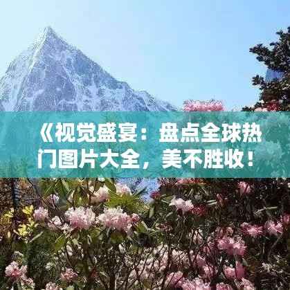 《视觉盛宴:盘点全球热门图片大全,美不胜收!》