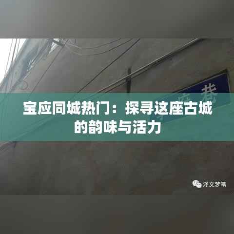 宝应同城热门:探寻这座古城的韵味与活力