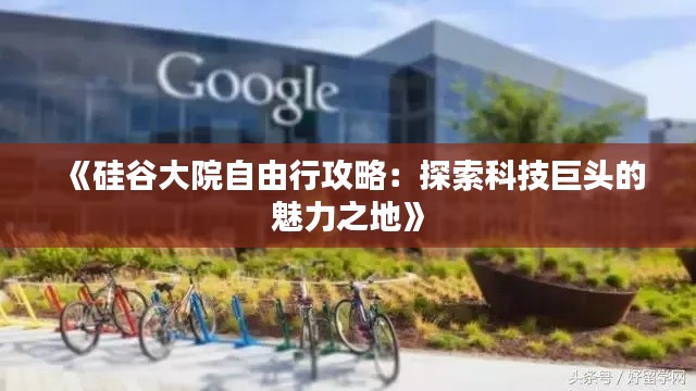 《硅谷大院自由行攻略：探索科技巨头的魅力之地》