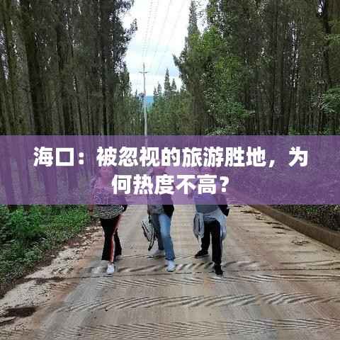 海口：被忽视的旅游胜地，为何热度不高？