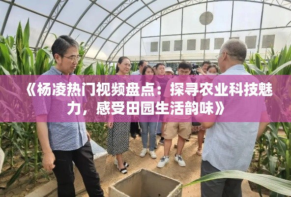 《杨凌热门视频盘点:探寻农业科技魅力,感受田园生活韵味》