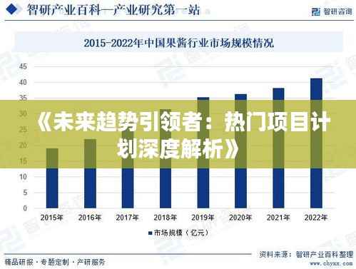 《未来趋势引领者:热门项目计划深度解析》
