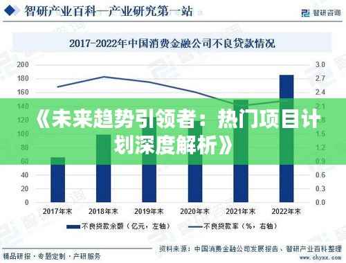《未来趋势引领者:热门项目计划深度解析》