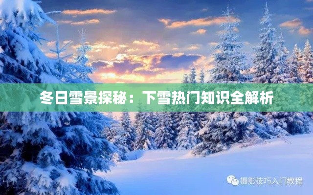 冬日雪景探秘：下雪热门知识全解析
