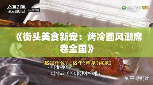 《街头美食新宠:烤冷面风潮席卷全国》