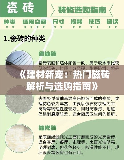 《建材新宠：热门磁砖解析与选购指南》