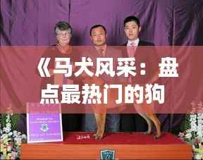 《马犬风采:盘点最热门的狗狗图片,感受它们的魅力!》
