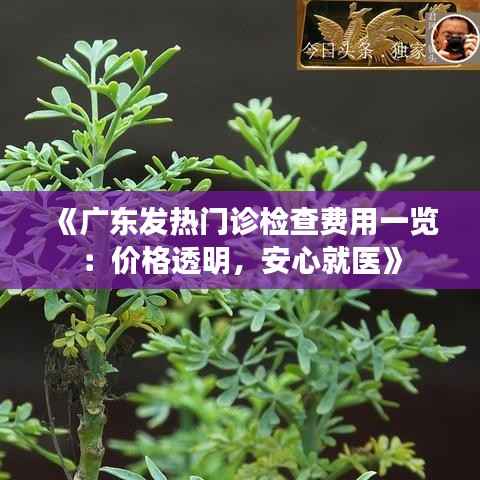 《广东发热门诊检查费用一览：价格透明，安心就医》