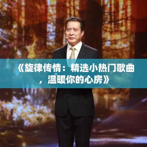 《旋律传情：精选小热门歌曲，温暖你的心房》