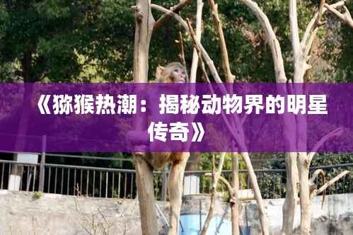 《猕猴热潮:揭秘动物界的明星传奇》