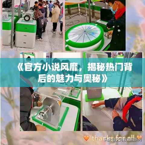 《官方小说风靡,揭秘热门背后的魅力与奥秘》