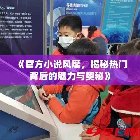 《官方小说风靡,揭秘热门背后的魅力与奥秘》