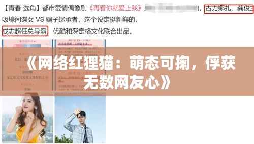 《网络红狸猫:萌态可掬,俘获无数网友心》
