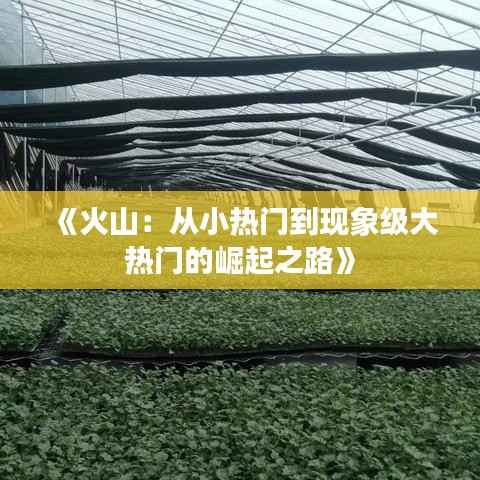 《火山：从小热门到现象级大热门的崛起之路》
