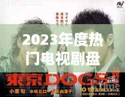 2023年度热门电视剧盘点:精彩纷呈,不容错过!