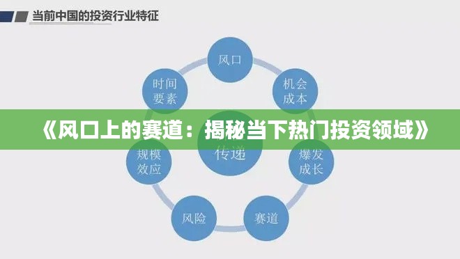 《风口上的赛道:揭秘当下热门投资领域》